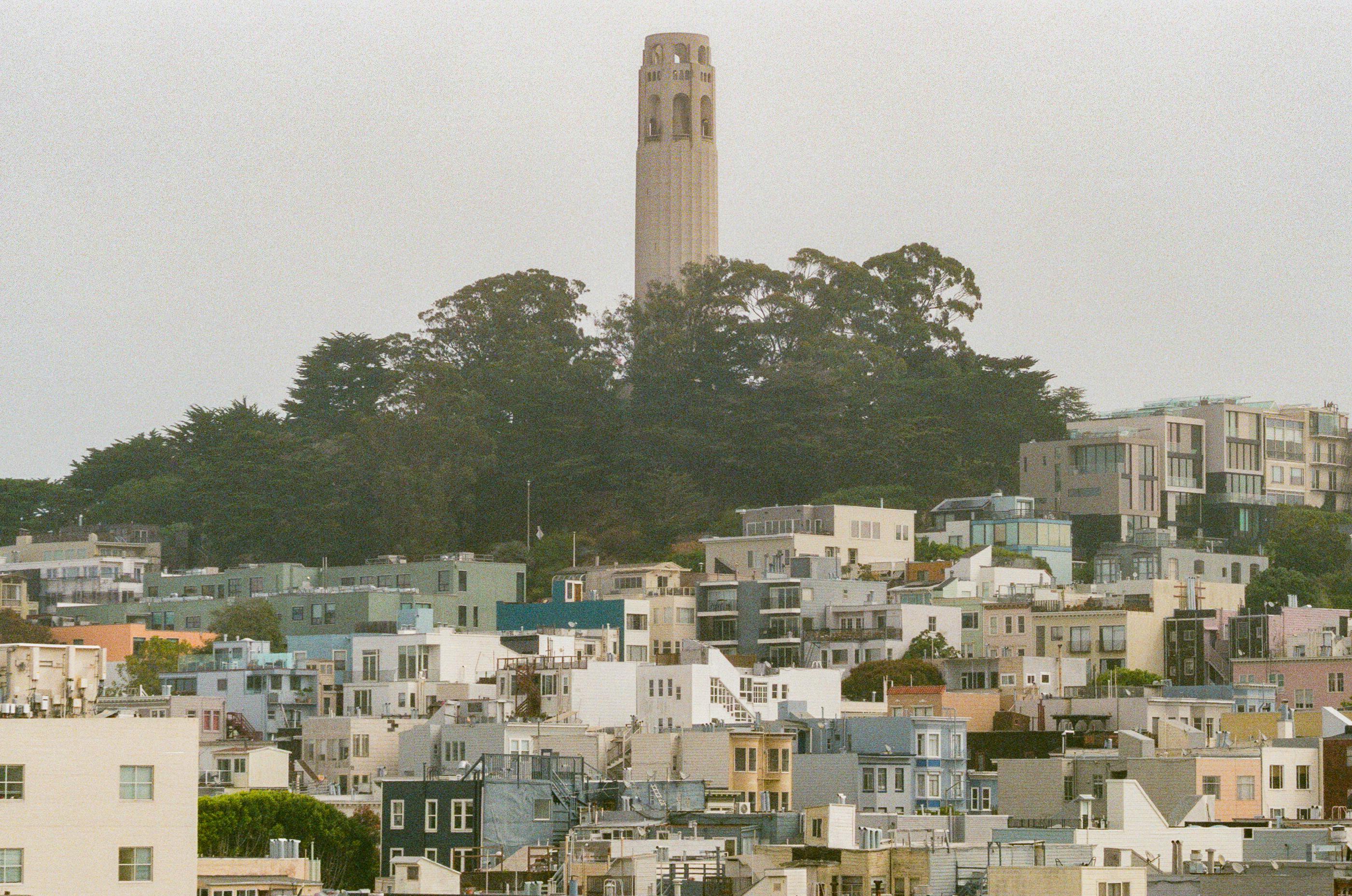 View of Coit Tower atop a hill surrounded by trees, overlooking densely packed residential buildings in San Francisco.